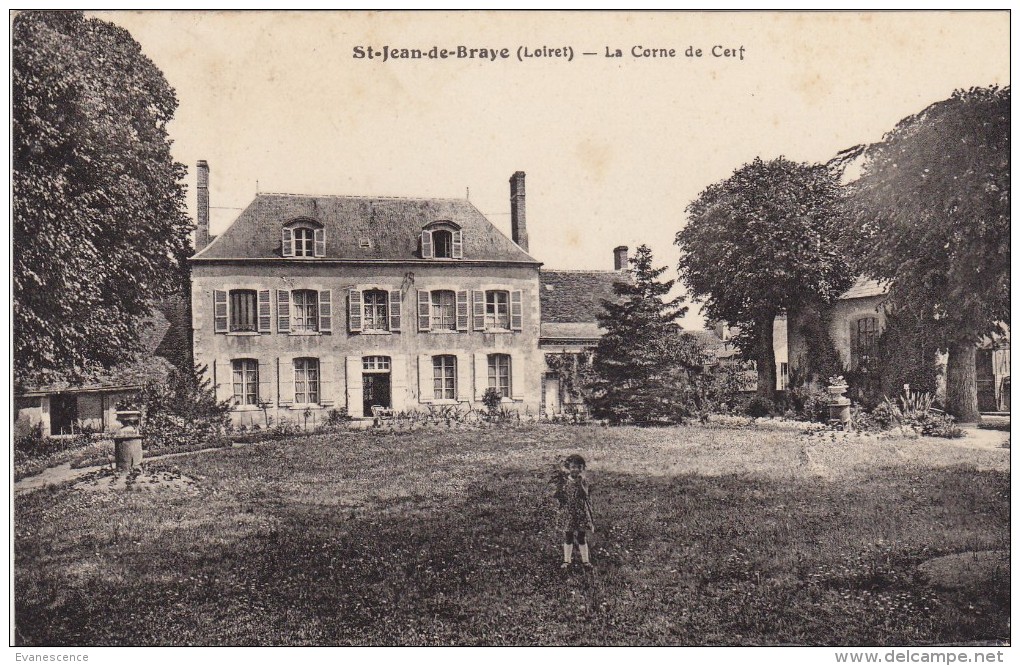 45  ST JEAN DE BRAYE / LA CORNE DE CERF     ///    REF  MAI 16     ///  N° 841 - Sonstige & Ohne Zuordnung