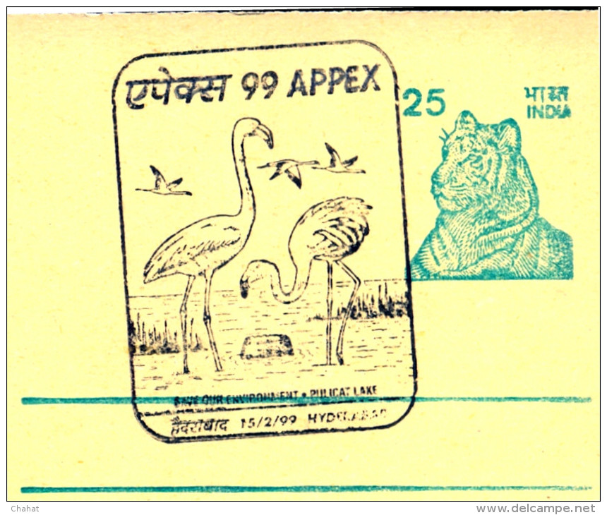 BIRDS-GREATER FLAMINGOS-PICTORIAL POSTMARK ON POST CARD-INDIA-1999-MNH-SCARCE-BX1-354 - Flamants