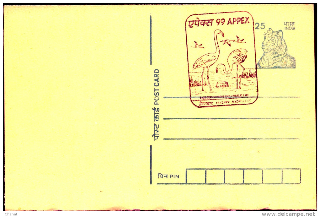 BIRDS-GREATER FLAMINGOS-PICTORIAL POSTMARK ON POST CARD-INDIA-1999-MNH-SCARCE-BX1-354 - Flamingo