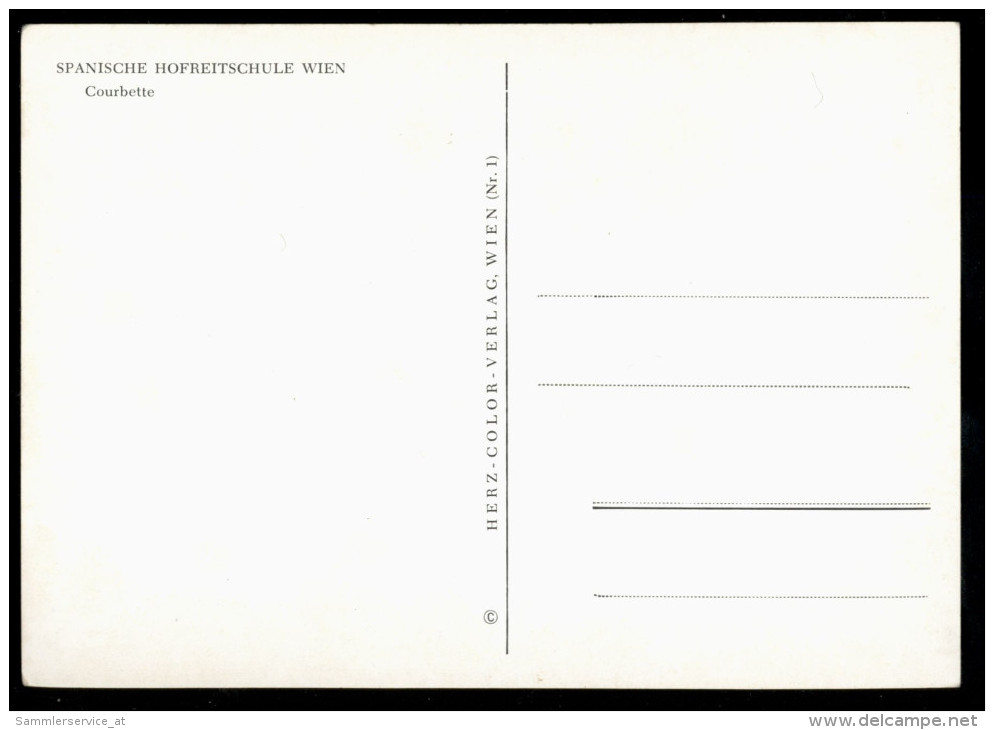 [015] Pferde-Karte 011, Spanische Hofreitschule Wien, Courbette, ~1970 - Cavalli