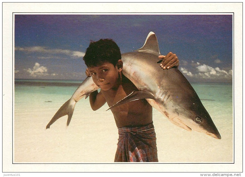 CPSM Maldives-Requin à Pointe Blanche     L2102 - Maldives