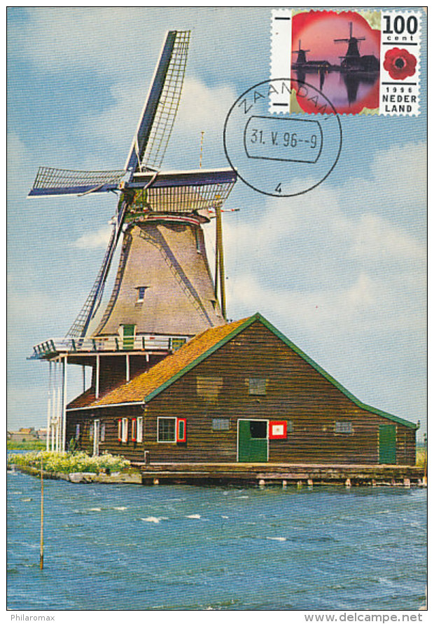 D23064 CARTE MAXIMUM CARD RR FD 1996 NETHERLANDS - MILL "THE CAT" ZAANDAM - PAINT MILL - CP VINTAGE ORIGINAL - Moulins