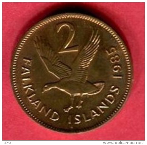 2 CENT 1985 ( KM 5) SUP 3 - Falklandinseln