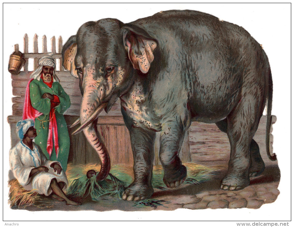 IMAGE Grand Découpi ELEPHANT ALBINOS Et Son CORNAC Format 15.5 Cm - Animaux
