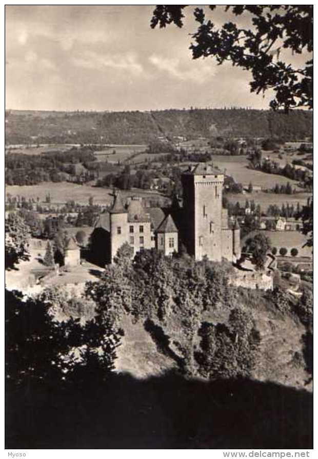 15 POLMINHAC Chateau De Pesteils XVI°s Dominant La Vallee De La Cere - Saint-Mamet-la-Salvetat