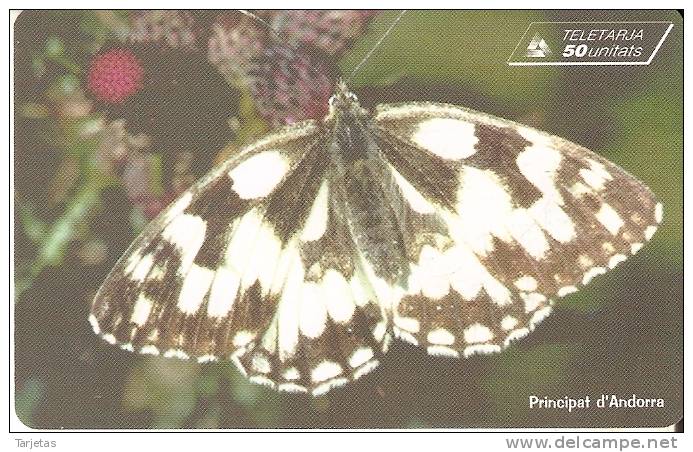 AND-105 TARJETA DE ANDORRA DE UNA MARIPOSA DEL 06/99 Y TIRADA 15000 (BUTTERFLY) - Andorra