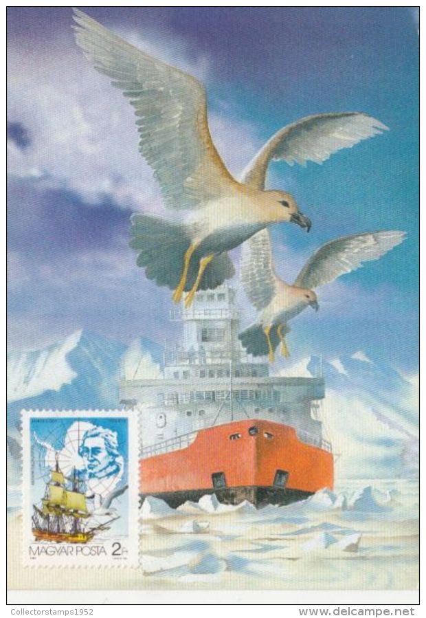 41538- JAMES COOK ANTARCTIC EXPEDITION, ICEBREAKER, GULLS, SHIP, MAXIMUM CARD, 1987, HUNGARY - Antarctische Expedities