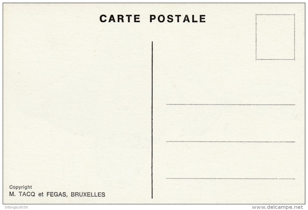 MITACQ. La Patrouille Des Castors. Carte Postale Avec Le Scout Mouche. Années 80 - Cartes Postales