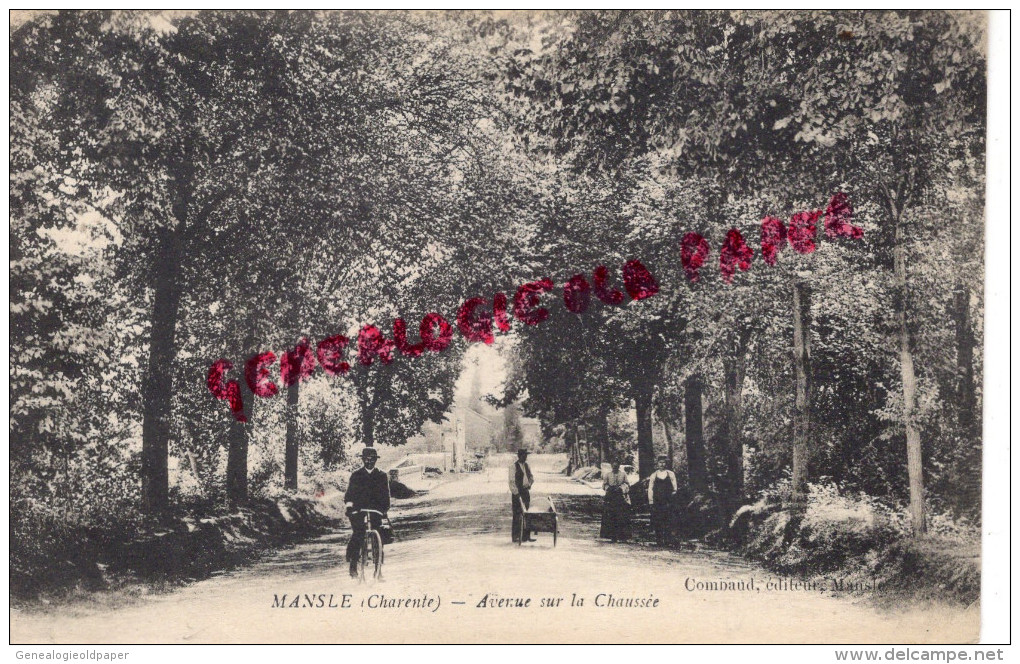 16 -MANSLE - AVENUE SUR LA CHAUSSEE - Mansle