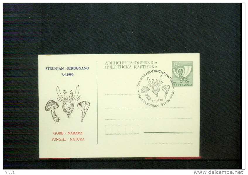 Jugoslawien / Yugoslavia / Yougoslavie 1990 Strunjan Mushrooms Postcard - Mushrooms