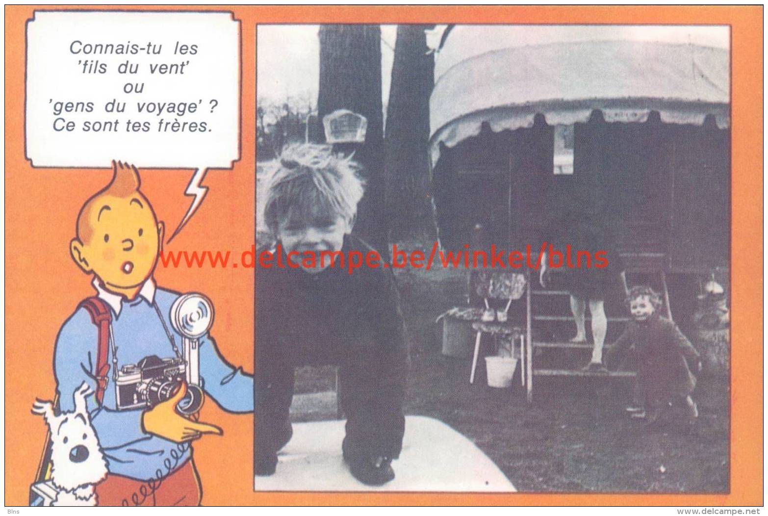 Tintin Caritas - Stripverhalen