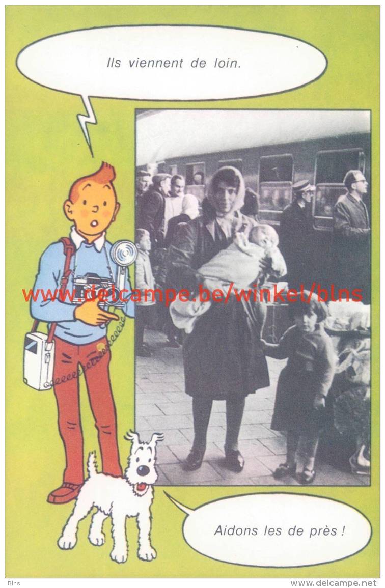 Tintin Caritas - Stripverhalen