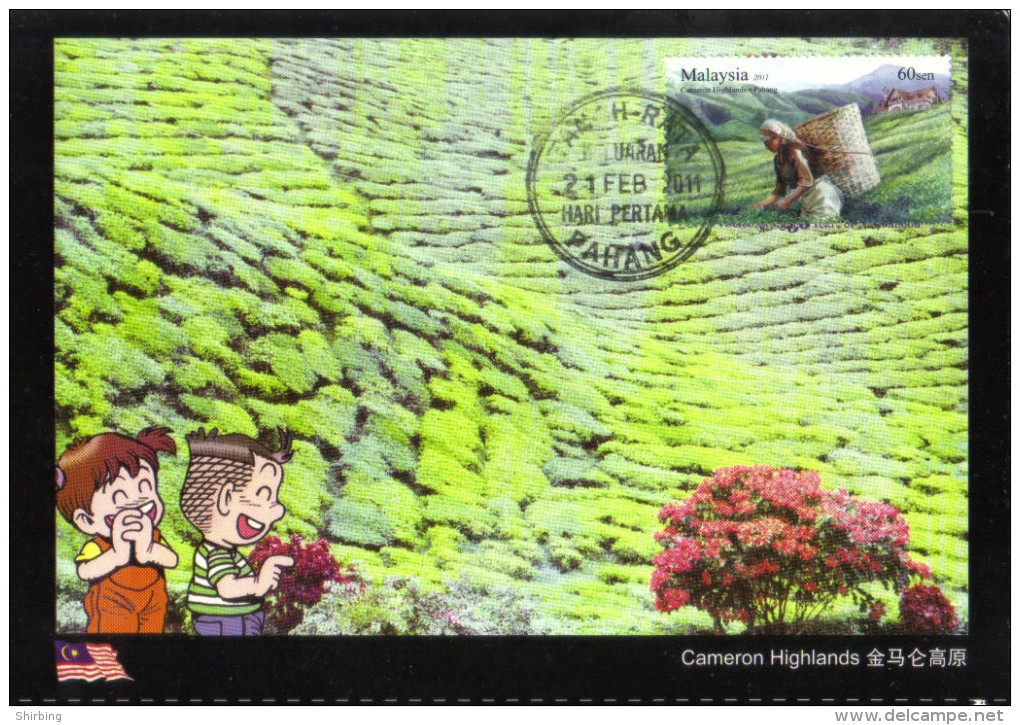 18D: Malaysia Cameron Highland Tea Garden (beverage Drink) Maximum Card Maxicard MC - Other & Unclassified