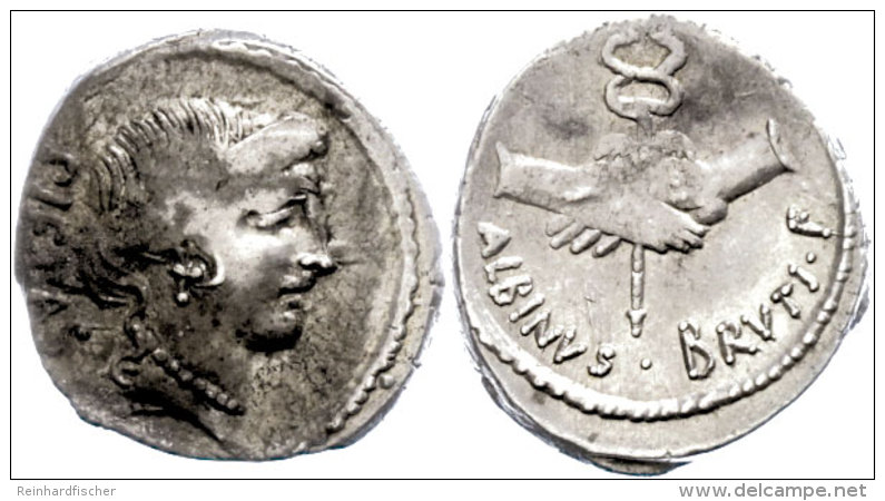 D. Iunius Brutus Albinus, Denar (3,97g), 48 V. Chr., Rom. Av: Pietaskopf Nach Rechts, Dahinter Schrift. Rev: Zwei... - République (-280 à -27)