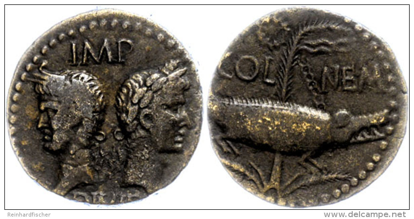Augustus, Ca. 14-10 V. Chr., AE (12,90g), Nemausus. Av: Die Köpfe Von Augustus Und Agrippa Voneinander... - Autres & Non Classés