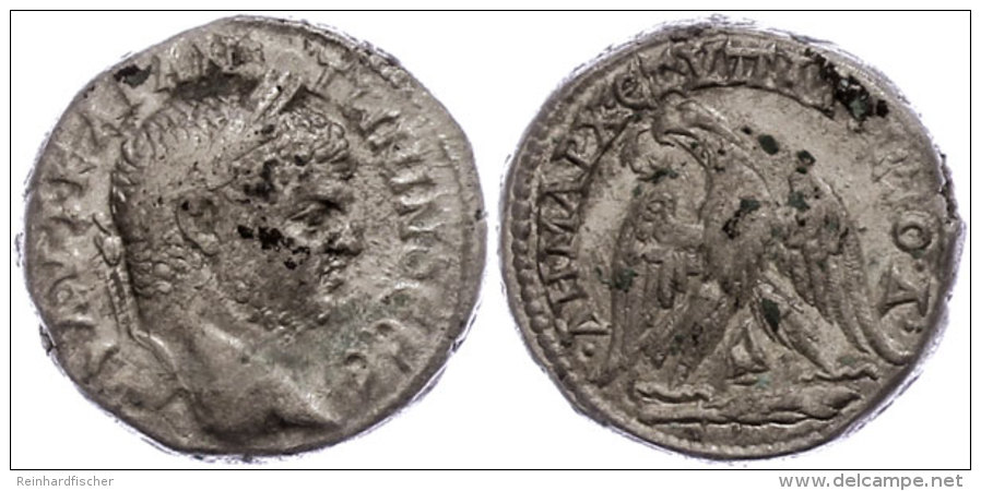 Tyre, Tetradrachme (14,24g), Caracalla, 213-217. Av: Büste Nach Rechts, Darum Umschrift. Rev: Stehender Adler... - Provinces Et Ateliers