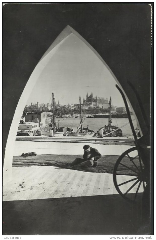 Mallorca - Palma - La Catedral Desde Muelle De Pescadores - Carte 14 X 9 - Destination France 1960 - Palma De Mallorca