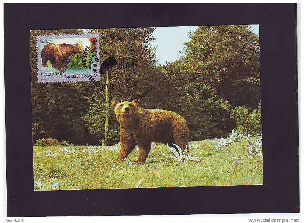 MACEDONIA, 2003, MAXIMUM CARD, URSUS ARCTOS, - Bears