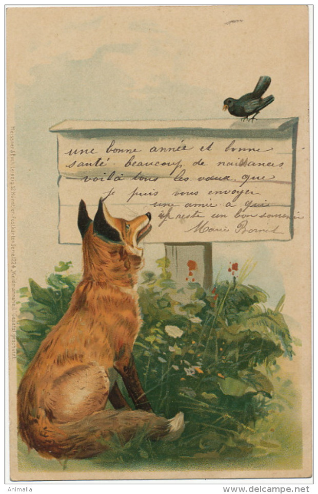 Tres Belle Corbeau Et Renard Fable La Fontaine Envoi A Sage Femme Chateaumeillant 18 Edit Meissner Fox And Crow - Autres & Non Classés