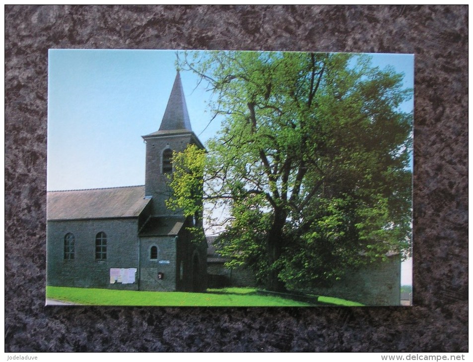 OMEZEE L'église Et Le Tilleul Entité De Philippeville  CPSM Carte Postale Non Voyagée Province De Namur - Autres & Non Classés