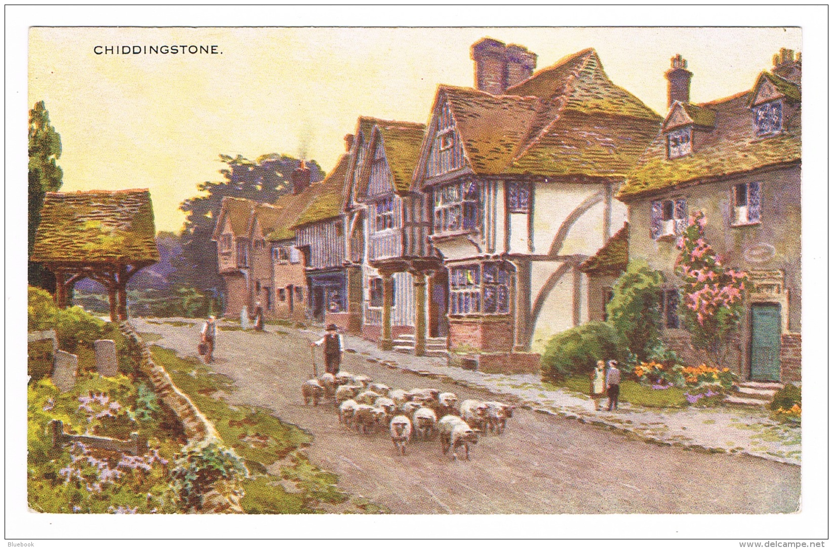 RB 1095 - Postcard - Shepherd &amp; Flock Of Sheep In Chiddingstone Village - Kent - Other & Unclassified