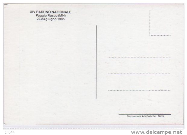 POGGIO RUSCO (MN) - 1985 - XIV° Raduno Nazionale Paracadutisti D'Italia - - Paracadutismo