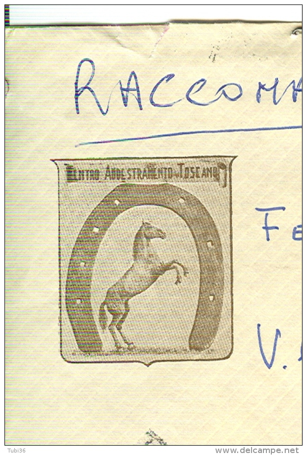 CENTRO ADDESTRAMENTO TOSCANO, SPORT EQUESTRI, TRESPIANO,CERCINA, FIRENZE, BUSTA COMMERCIALE, 1979, POSTE BADIA A SETTIMO - Ruitersport