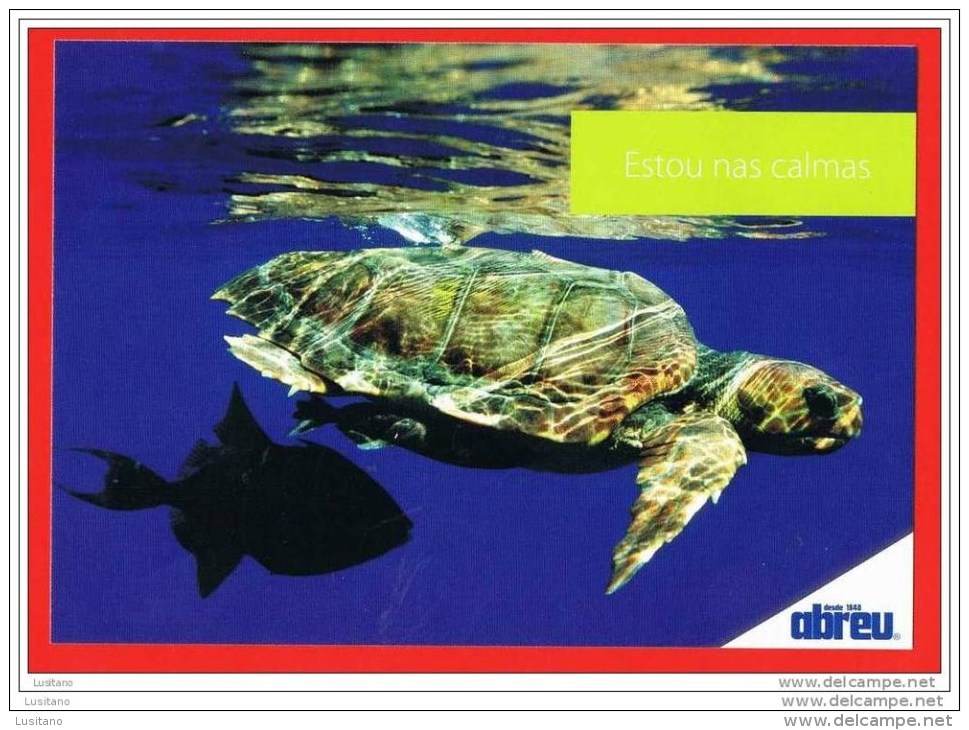 ADVERTISING POSTCARD Turtle Tortue Açores Azores PORTUGAL ( 2 Scans ) - Turtles