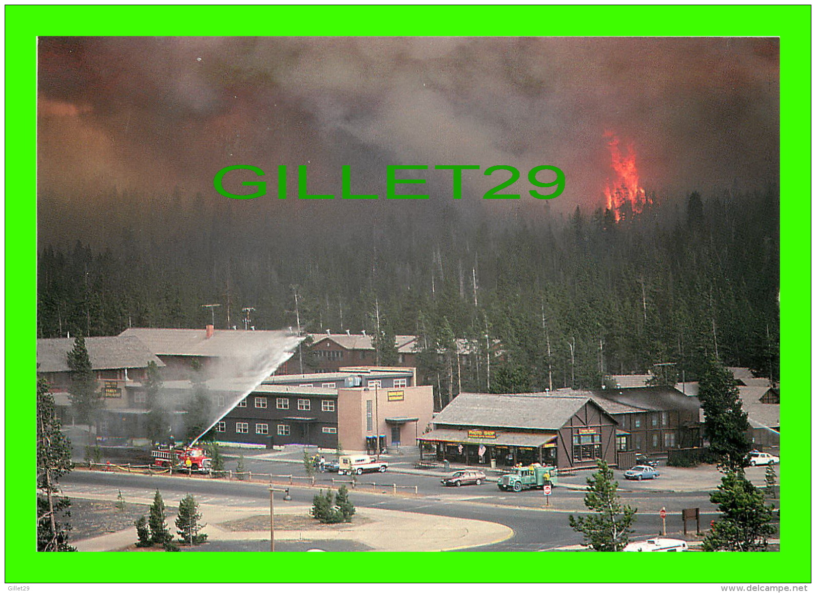 YELLOWSTONE, WY - NORTH FORK FIRE-OLD FAITHFUL 1988 - YELLOWSTONE NATIONAL PARK - PHOTO, JEFF HENRY - - Yellowstone