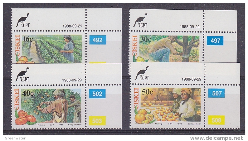 Ciskei 1988 Citrus Farming Fruit 4v  (cprner) ** Mnh (29646) - Ciskei