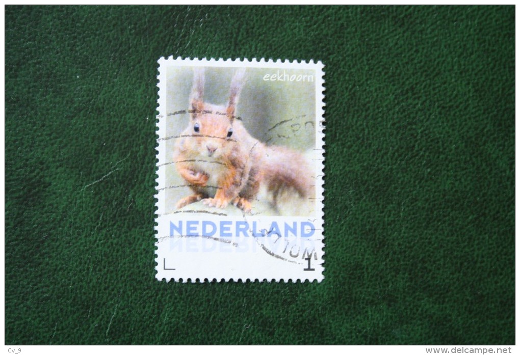 Eekhoorn écureuil Squirrel Persoonlijke Zegel NVPH 2751 2013 Gestempeld / USED / Oblitere NEDERLAND / NIEDERLANDE - Francobolli Personalizzati