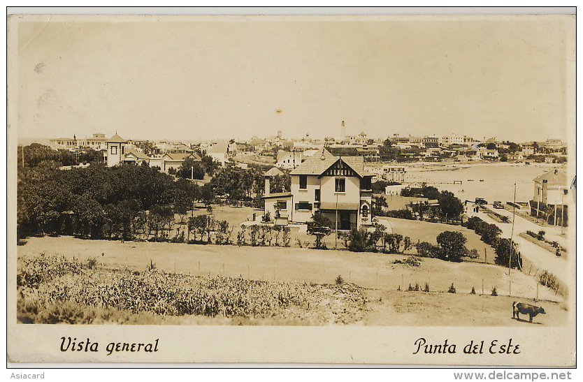 Real Photo Vista General Punta Del Este - Uruguay