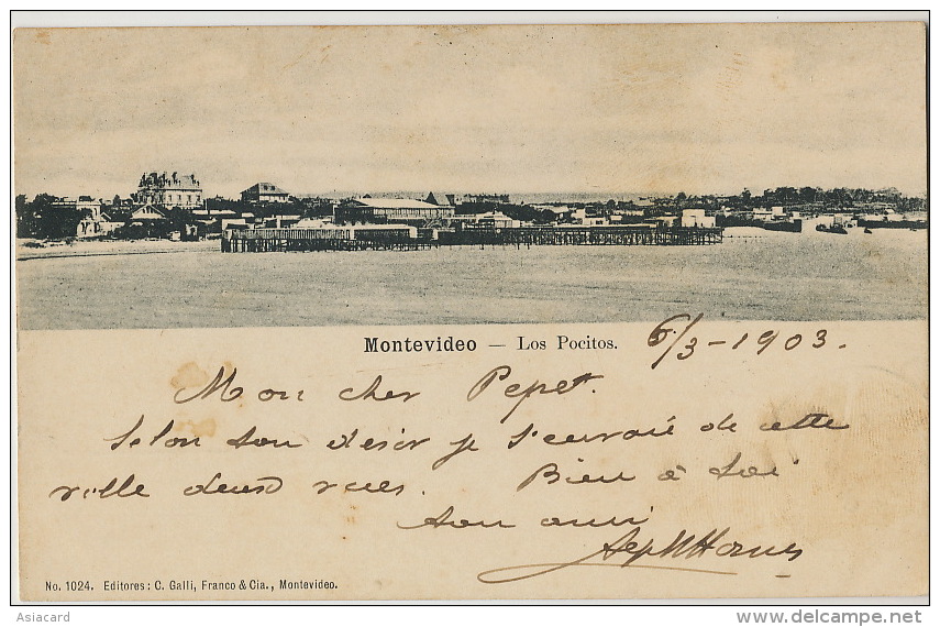 Montevideo  Los Pocitos No 1024 Galli  Circulada A Buenos Aires 1903 - Uruguay