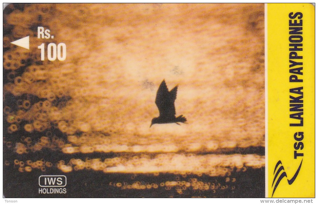 Sri Lanka, 44SRLF, Rs100, Flying Bird At Sunset, 2 Scans.   Please Read - Sri Lanka (Ceylon)