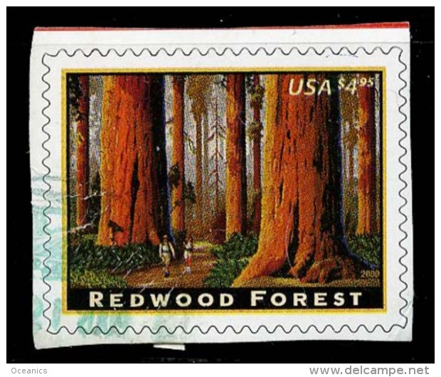 Etats-Unis / United States (Scott No.4378 - Red Wood Forest) (o) Cut Square / Découpé - Sonstige & Ohne Zuordnung