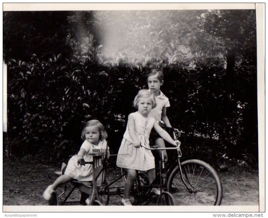 Photo Originale Vélo - Tricycle Métallique & Bicyclettes Pour Frère Et Soeurs En 1935 - Cyclisme