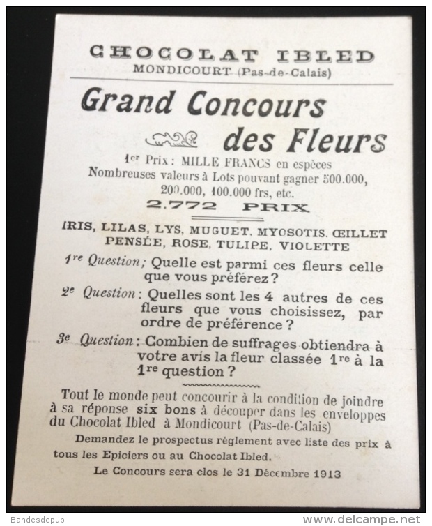 Ibled Chromo Concours Fleurs  Anthropomorphisme Dortoir Animaux Ferme Coq Clairon Réveil Chevre  Ane Lapin Cochon - Ibled