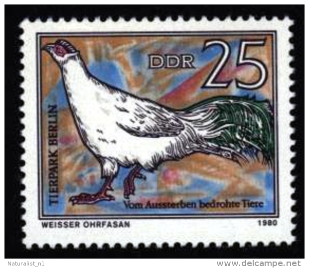 DDR Germany Allemagne Deutschland 1980. ** MNH. Pheasant Faisan Fasan - Gallinacées & Faisans