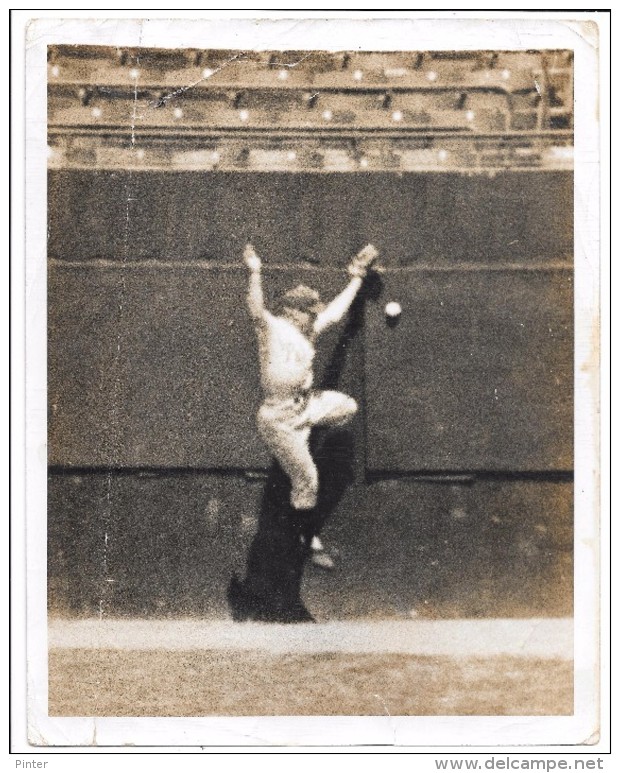 Joueur De BASEBALL Lors D´un Match - Baseball