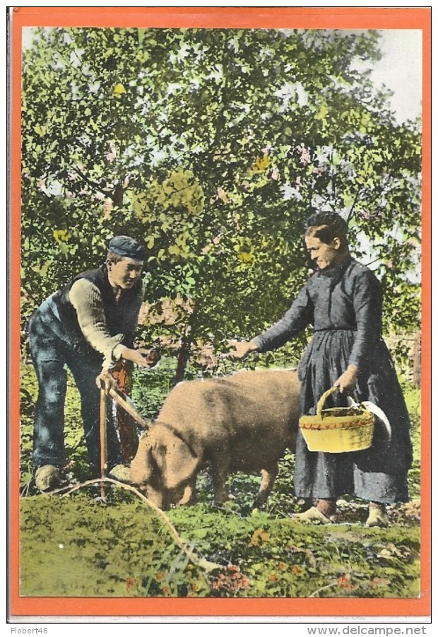 CHERCHEURS DE TRUFFES / TYPES DU QUERCY N°1422 / COMME NEUVE - Autres & Non Classés