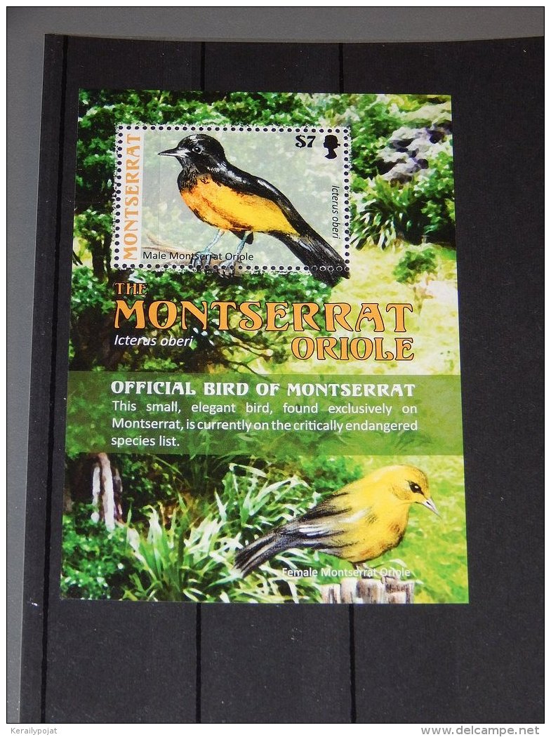 Montserrat - 2009 Birds Block MNH__(TH-15612) - Montserrat