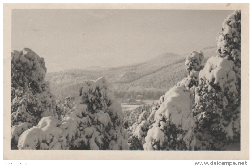 Jonsdorf - S/w Zittauer Gebirge 1 - Jonsdorf