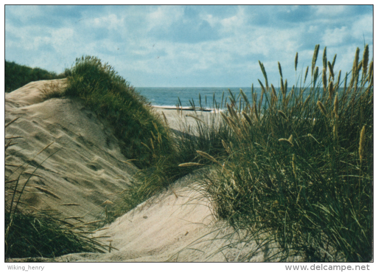 Juist -  Dünen Und Meer 2 - Juist