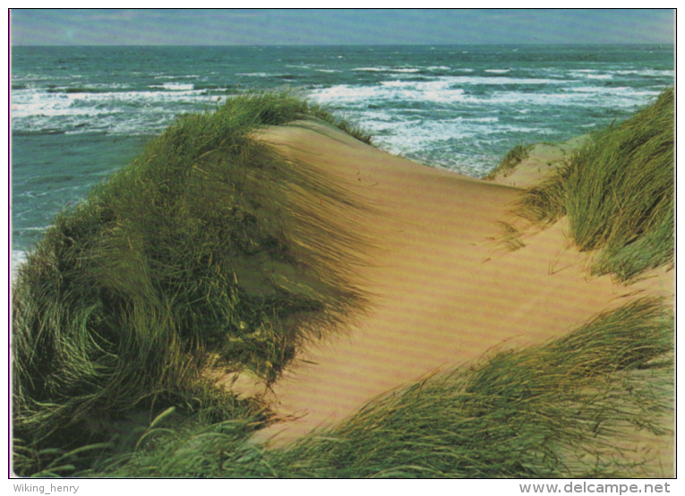 Juist -  Dünen Und Meer 1 - Juist