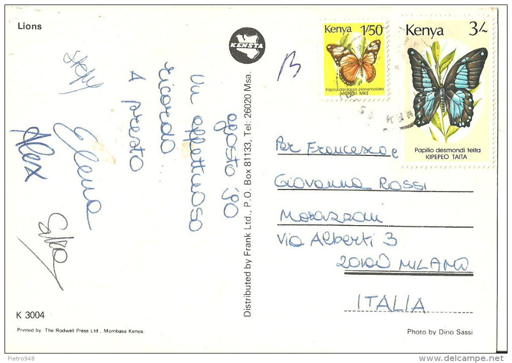 Kenia, Coppia Di Leonesse Nella Savana Africana (Lions), Thematic Stamps "Farfalle", "Papillon" - Lions