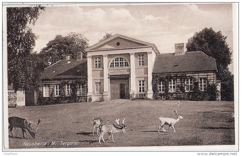 NEUSTRELITZ Mecklenburg Tiergarten Orangerie Gartenrestaurant 22.11.1934 Gelaufen - Neustrelitz