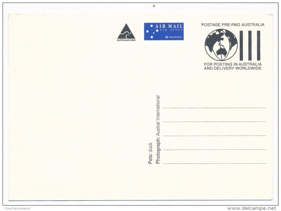 AUSTRALIE -  6 Cartes Maximum - Animaux Domestiques - Camberra Act 2600 - 1996