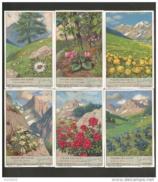 LIEBIG Sammelbilder  (07) , 6 Stück - Fleurs Des Alpes - - Liebig