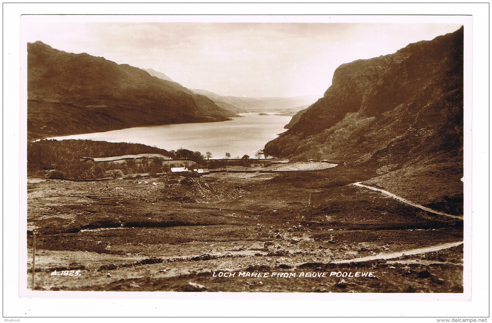 RB 1096 -  Real Photo Postcard - Loch Maree From Above Poolewe - Ross &amp; Cromarty Scotland - Ross & Cromarty