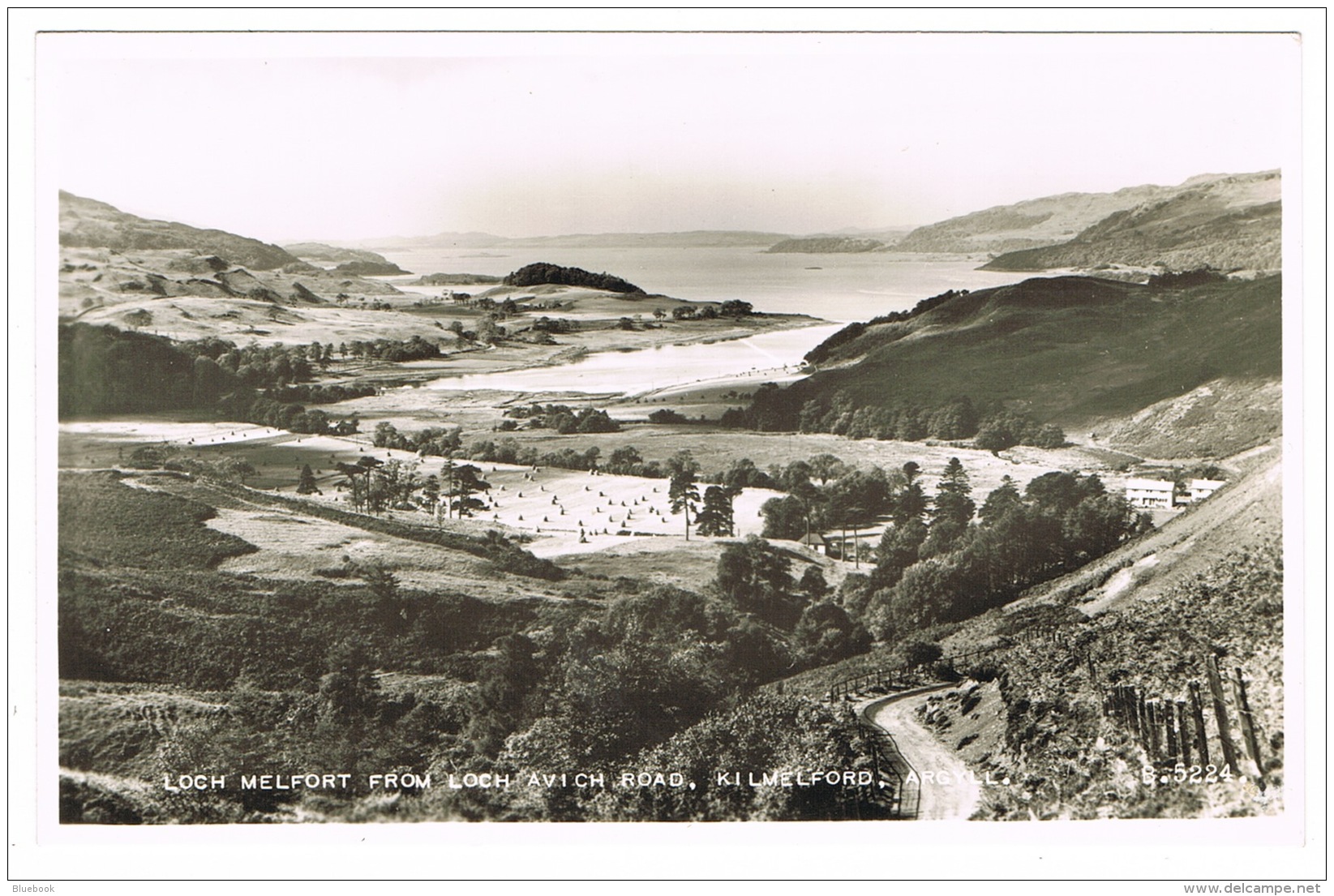 RB 1096 -  Real Photo Postcard - Loch Melfort From Loch Avich Road - Kilmelford Argyllshire Scotland - Argyllshire